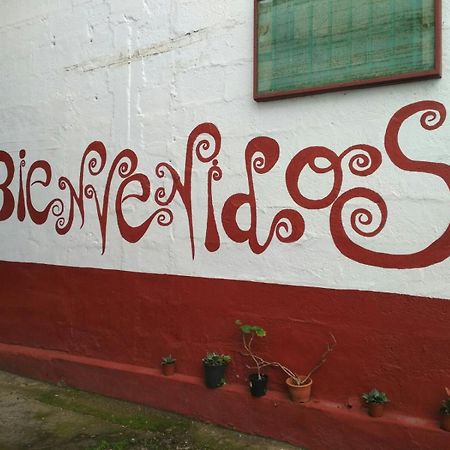 Residencia Los Conejos - Bike & Motorbike 大加那利岛拉斯帕尔马斯 外观 照片